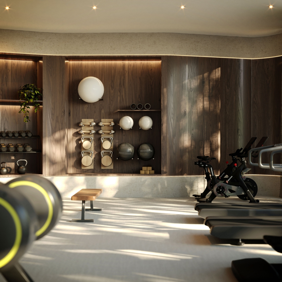 4051_GYM_VIGNETTE_DRAFT-01_PC-1350x1350