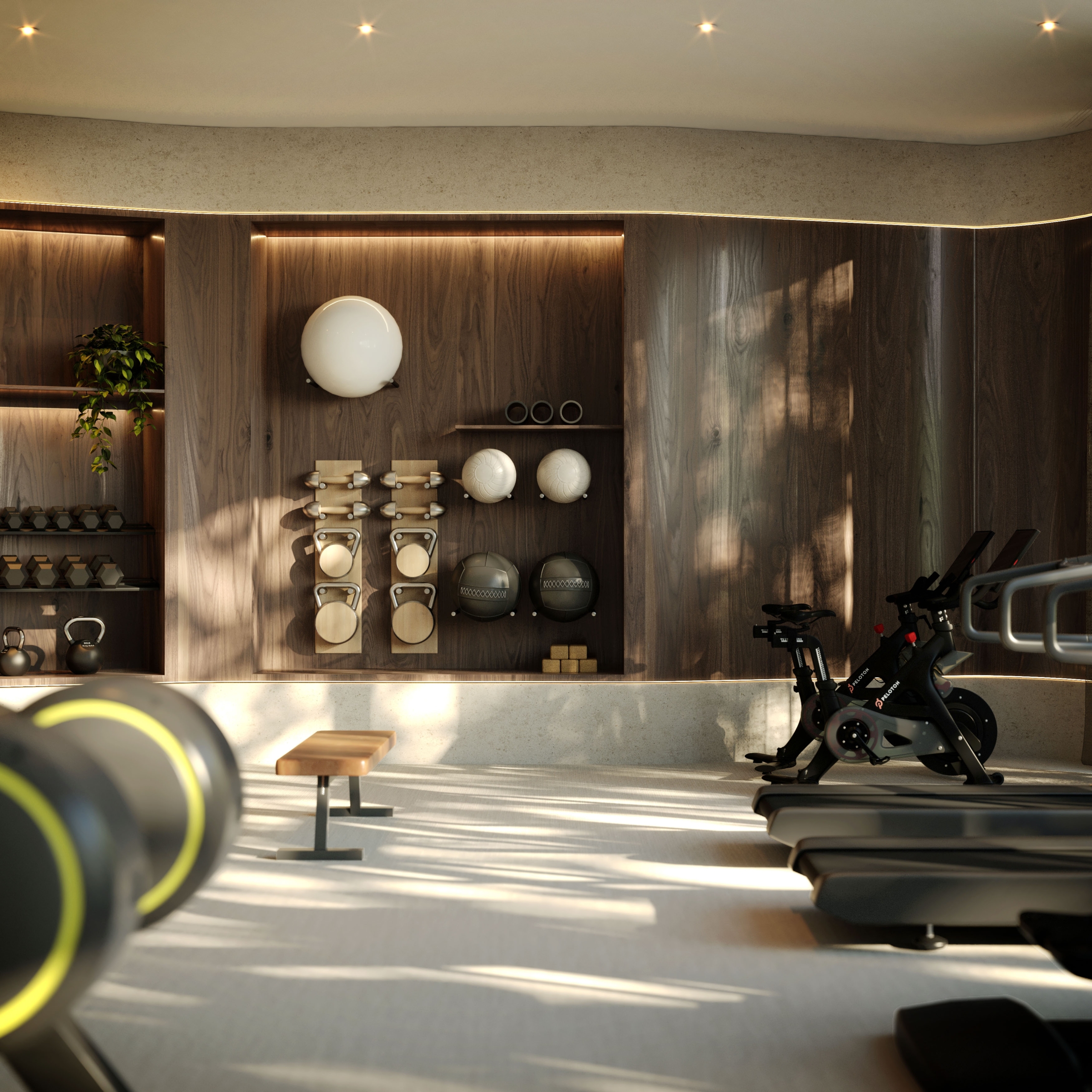 4051_GYM_VIGNETTE_DRAFT 01_PC